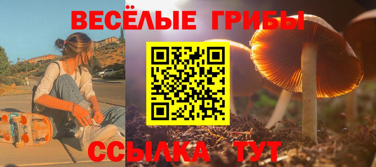 Псилоцибиновые грибы мухоморы Саяногорск